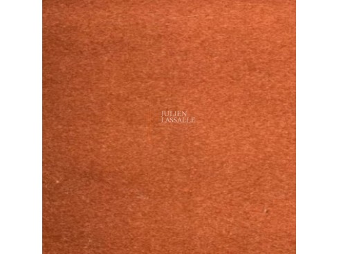 Tissu CITIZEN velours thermique - THEVENON